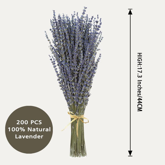 Dried Lavender 2 Bunches 100% Fresh Natural Purple Bouquet Flowers for Bathroom Photo Props Crafts Decoration, 15-17" for Shower Weeding Vase Decor, Home Fragrance(200-220 Stems(100g/3.5oz Total))