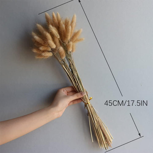 120pcs 17" Bunny Tails Dried Flowers Brown Pampas Grass Natural Rabbit Tail Grass Dry Floral Arrangement for Boho Wedding Decor,Baby Birthday Party