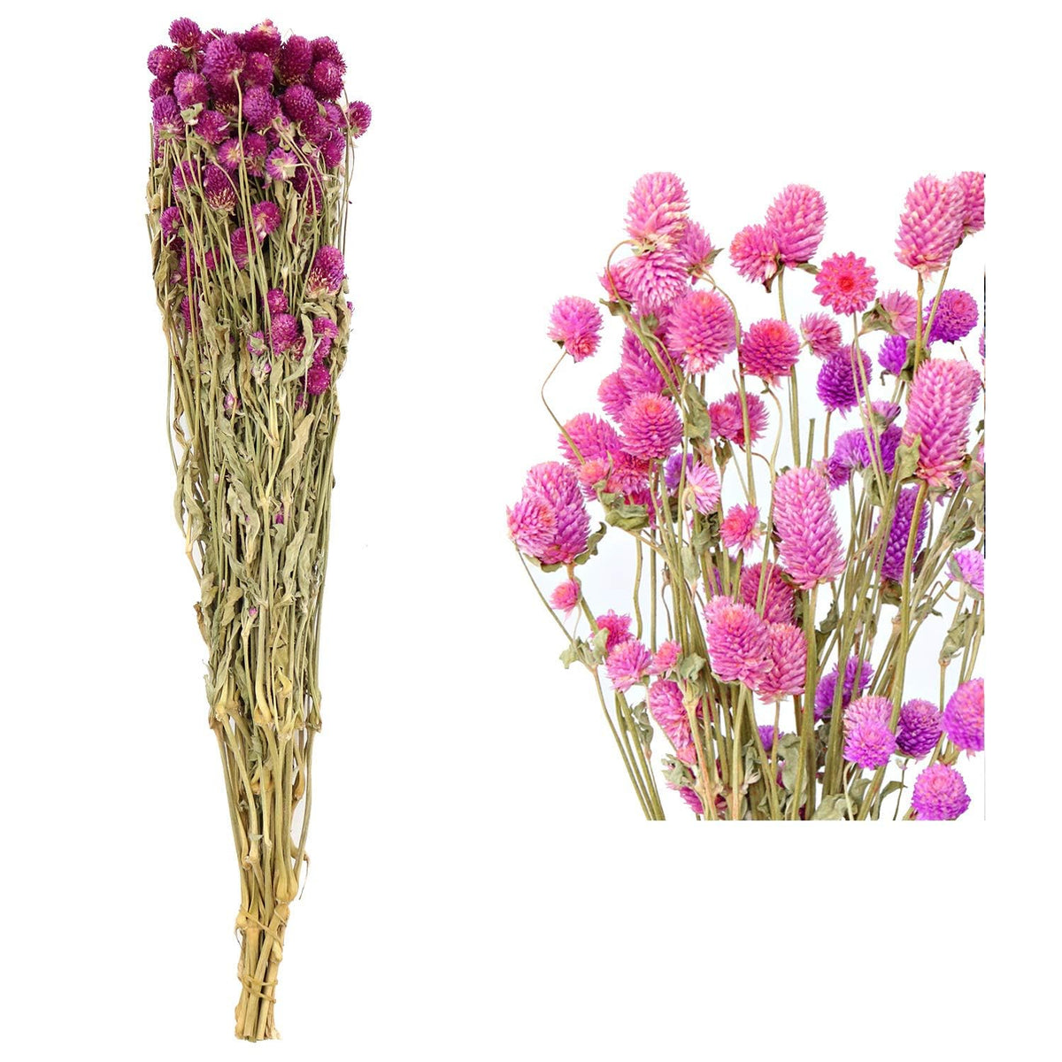 MIHUAGE Dried Flower White Globe Amaranth Dry Flower Bundles 100% Naturally for Home Decor Party (Pink)