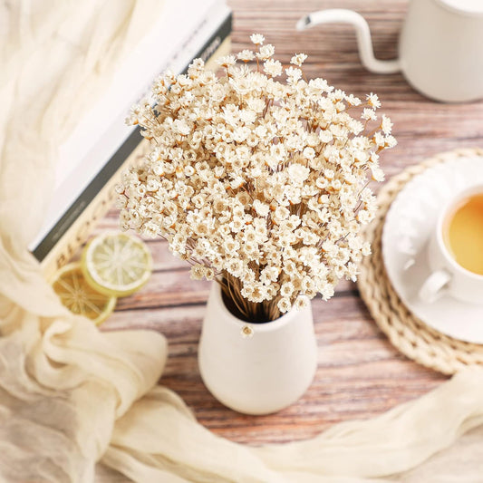 500 Pcs Mini Natural Dry Chamomile Flowers Decoration