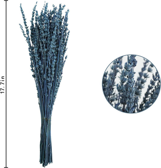 Uieke Dried Lavender Flowers Bundle, 16" Dried Lavender Bouquet Blue Flowers for Shower Weeding Home Fragrance Vase Crafts Decor, 50g(1.76oz)