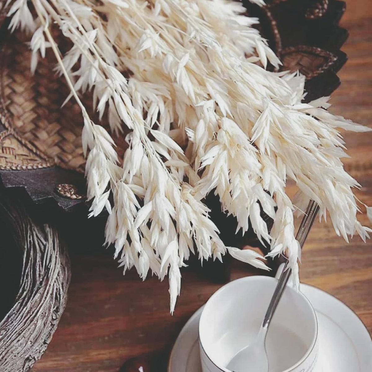 40 PCS Stems Dried White Oat Flowers, 17" Natural Bleached Avena Stems