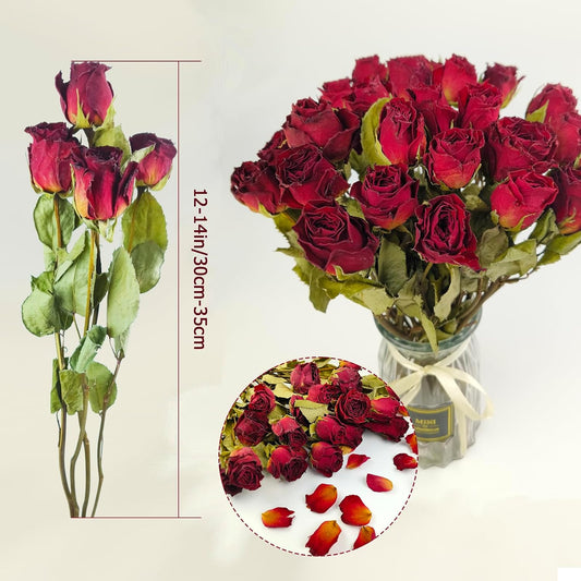TooGet Natural Dried Flowers Bouquet, 10 Pcs Red Dried Roses Bouquet for Wedding Decoration and DIY Wreath Floral Home Decor