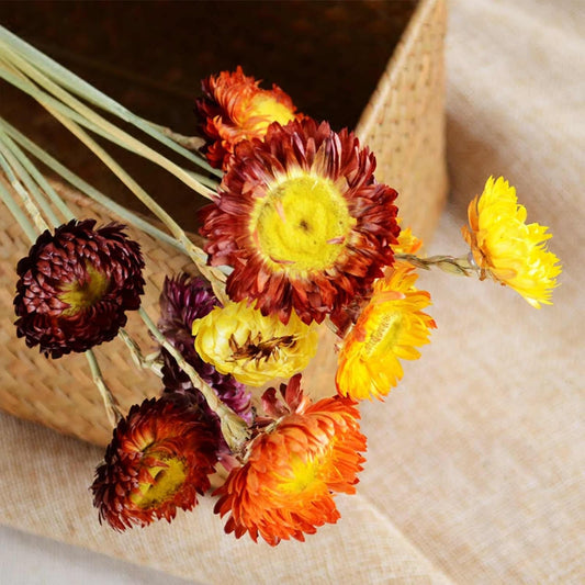 20 Pcs Dried Daisy Flower Bouquet, 17" Multicolor Fall Flowers, Vase Filler