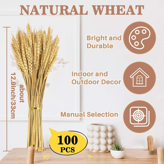 Sukh 100 Stems Dried Wheat Stalks - Boho Fall Decor for Home & Wedding
