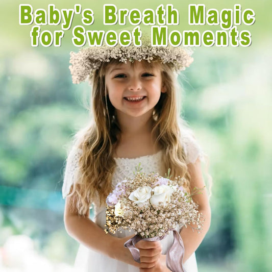2500+ Mini Dried Baby's Breath Flowers Ivory White for Wedding Decor