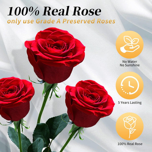 Forever Flowers Roses in A Box,Real Preserved Flowers,Preserved Roses,Preserved Flowers for Delivery,Birthday Gifts for Women/Men/Mom,Flowers for Mothers Day,Valentine's Day Rose Gifts,Red