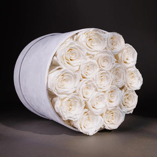 17 Flowers in Luxury Suede Box, Birthday Gifts for Women, Preserved Flowers