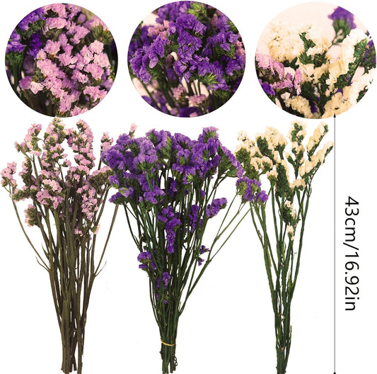 Dried Flowers Bundles Forget Me Not with Stems Natural Dried Flowers Purple Pink and White Preserved Dried Flowers Bouquet for Floral Arrangements Wedding Party DIY Resin Vase Home Decoration