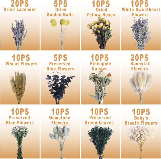 130Pcs Dried Flower Set, 12 Mixed Flowers for Floral Crafts & DIY Decor