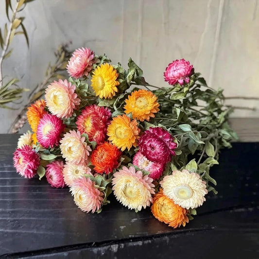 12Pcs Natural Dried Strawflowers Bouquet, Real Multicolor Daisies