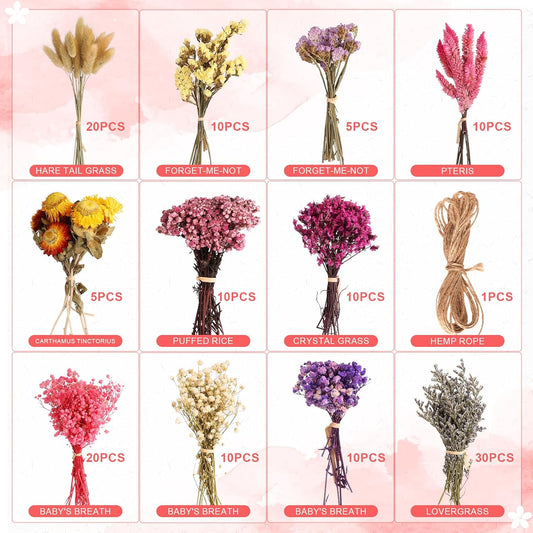 11 Kinds of Dried Flowers for Crafts Bulk DIY Natural Multi-color Wildflowers Dried Pampas Grass Lavender Forget Me Not Babys Breath with Stem Floral Arrangement Bouquets with Hemp Rope for Home Decor