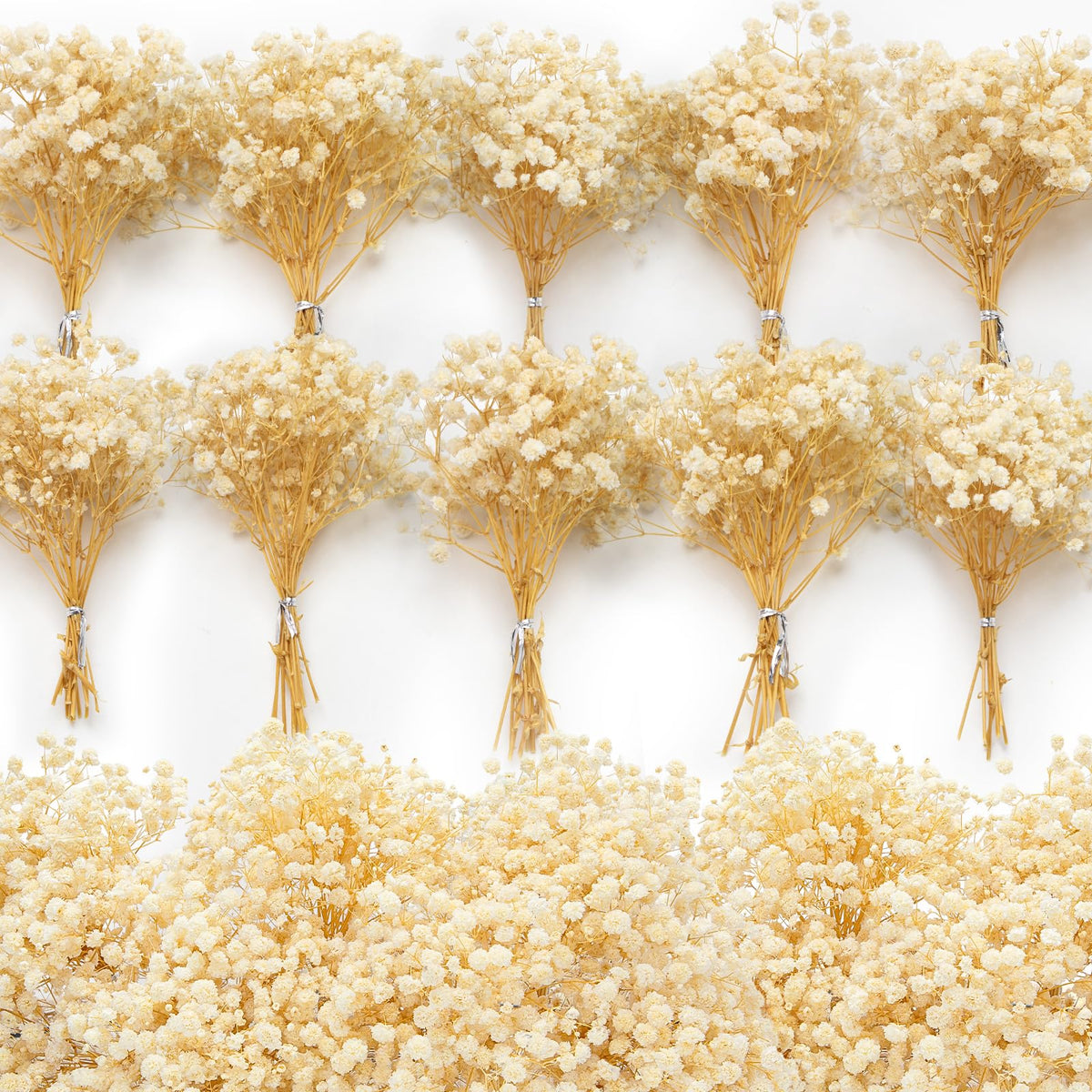 3000+ Mini Dried Baby's Breath Flowers 6'', Natural Ivory White Flowers