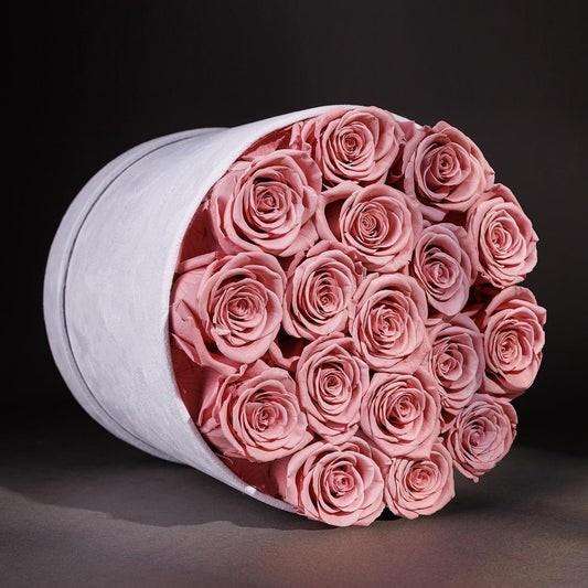17 Flowers in Luxury Suede Box, Birthday Gifts for Women, Preserved Flowers