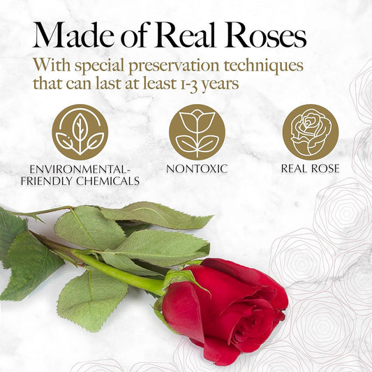 GLAMOUR BOUTIQUE Preserved Flowers, 16 Forever Red Roses in Heart Gift Box