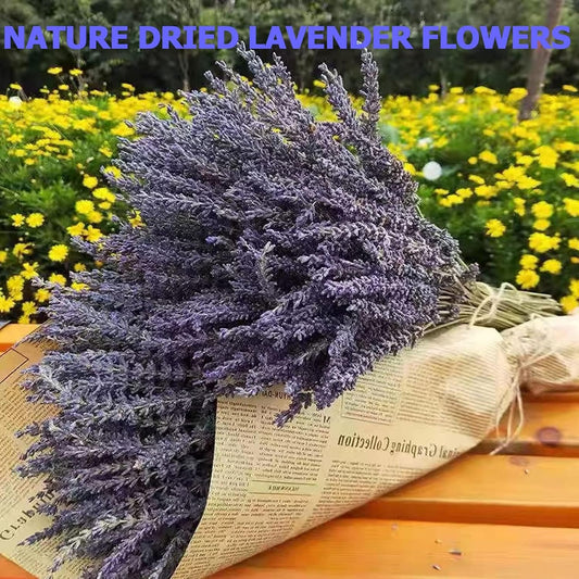 TOMOON 6 Packs Natural Dried Lavender Flowers Bouquet with Stems