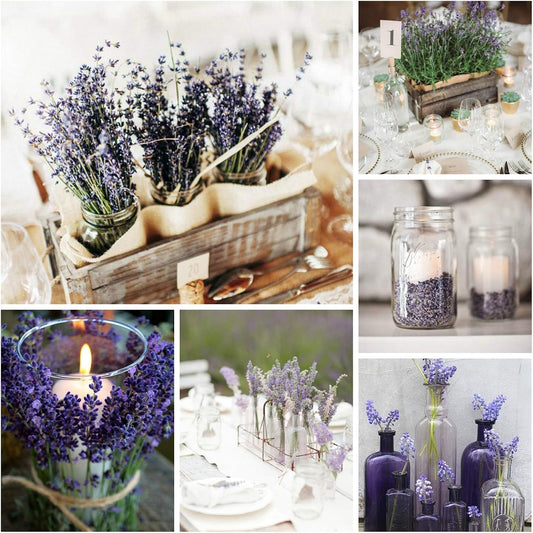 16 Inches Dried Lavender 2 Bunches Real Stems for Home Wedding Decoration