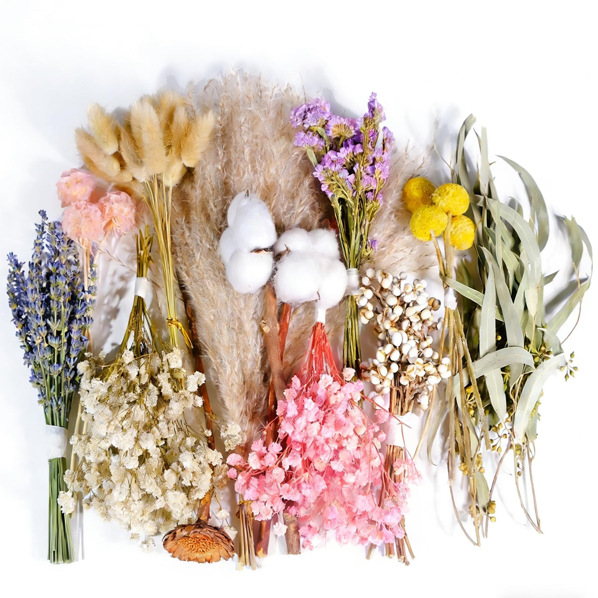 12 Kinds Natural Dried Flower Set, Bulk Dried Flowers for Vase,Mini Dried Flower Bouquets,Dried Flowers with Stems for DIY Crafts, Vase Decor,Home/Wedding/Birthday Decor(8.7-13.8in Flexible Stems)