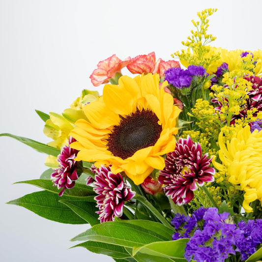 Benchmark Bouquets Flowering Fields Sunflower Bouquet - Birthday Flowers for Delivery - Fresh Flowers Bouquet - Birthday & Get Well Gifts for Women - Glass Vase Included