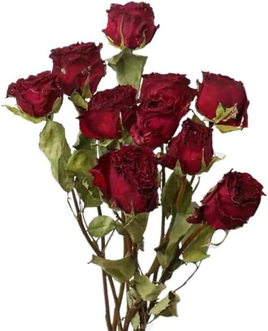 TooGet Natural Dried Flowers Bouquet, 10 Pcs Red Dried Roses Bouquet for Wedding Decoration and DIY Wreath Floral Home Decor