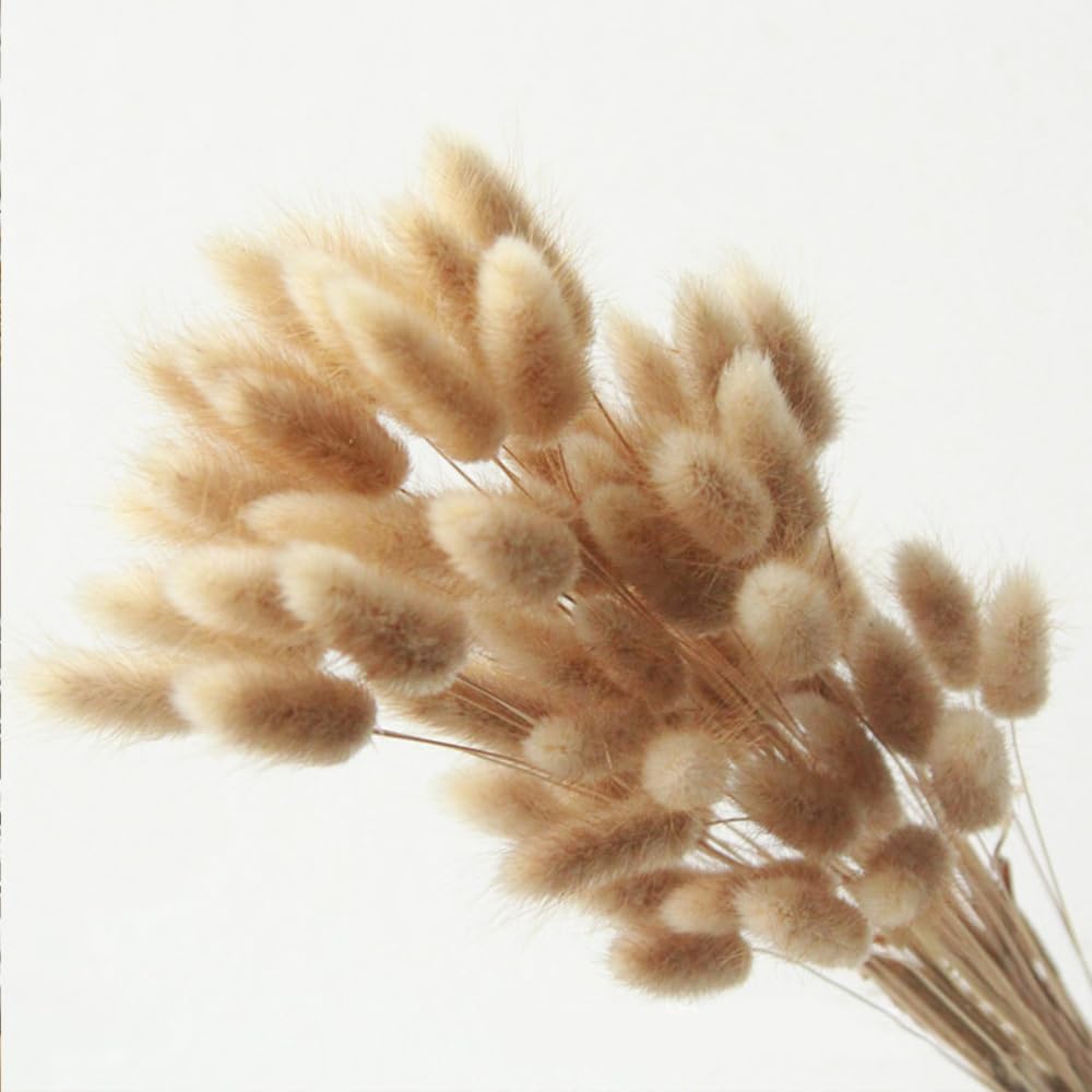 60PCS Rabbit Tail Grass Dried Flowers Dried Natural Floral (Grey)