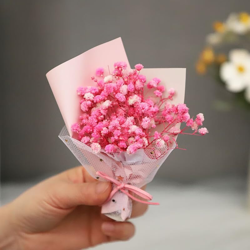 100+Pcs Mini Dried Babys Breath Flowers, 5600+ Multiple Colors Baby Breath Flowers Bulk, Dried Flower for Candle Making Invitation Resin Crafts, Gypsophila for Christmas Wedding Decor