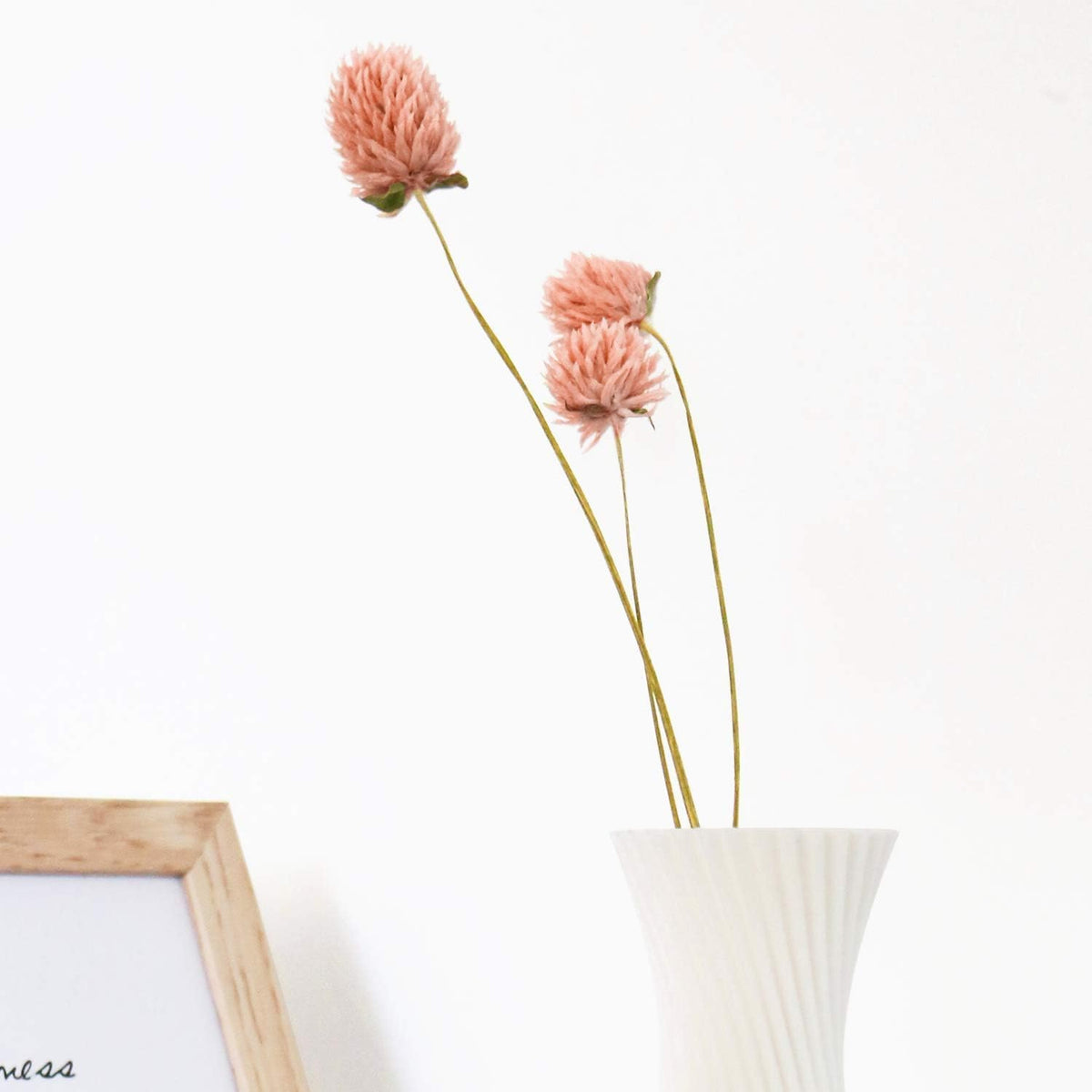 MIHUAGE Dried Flower White Globe Amaranth Dry Flower Bundles 100% Naturally for Home Decor Party (Pink)