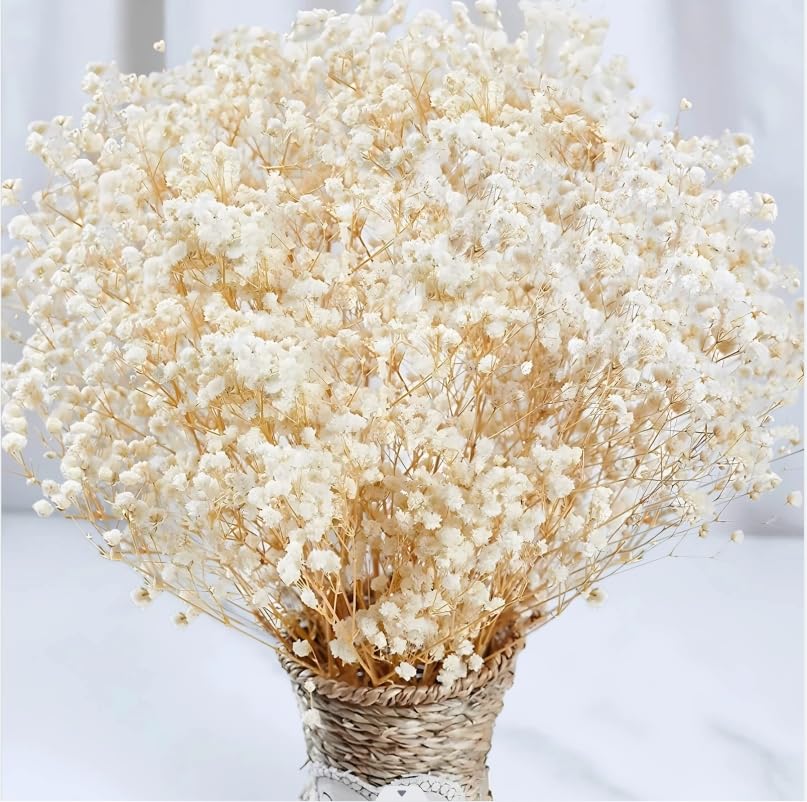 2500+ Dried Babys Breath Flowers Bulk, 17'' Ivory White Gypsophila Bouquet