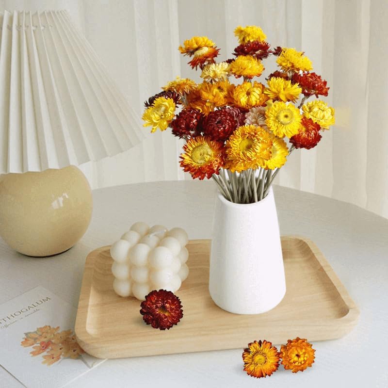 30Pcs Natural Multicolor Dried Daisy Flowers Stems-Dried Flowers Bouquet