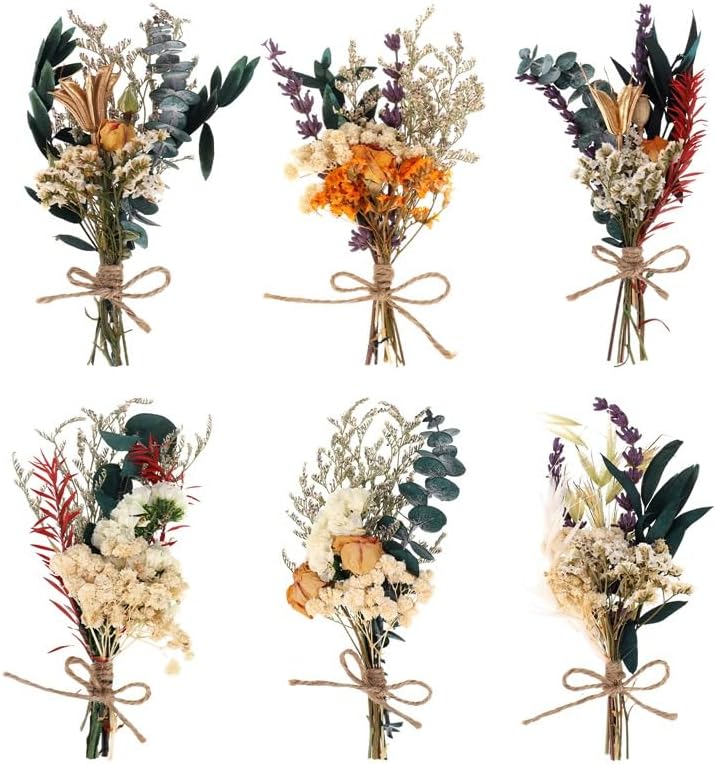 Fuyamp Mini Boho Dried Flower Bouquet Set of 6 Natural Dried Flowers