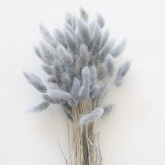 60PCS Rabbit Tail Grass Dried Flowers Dried Natural Floral (Grey)