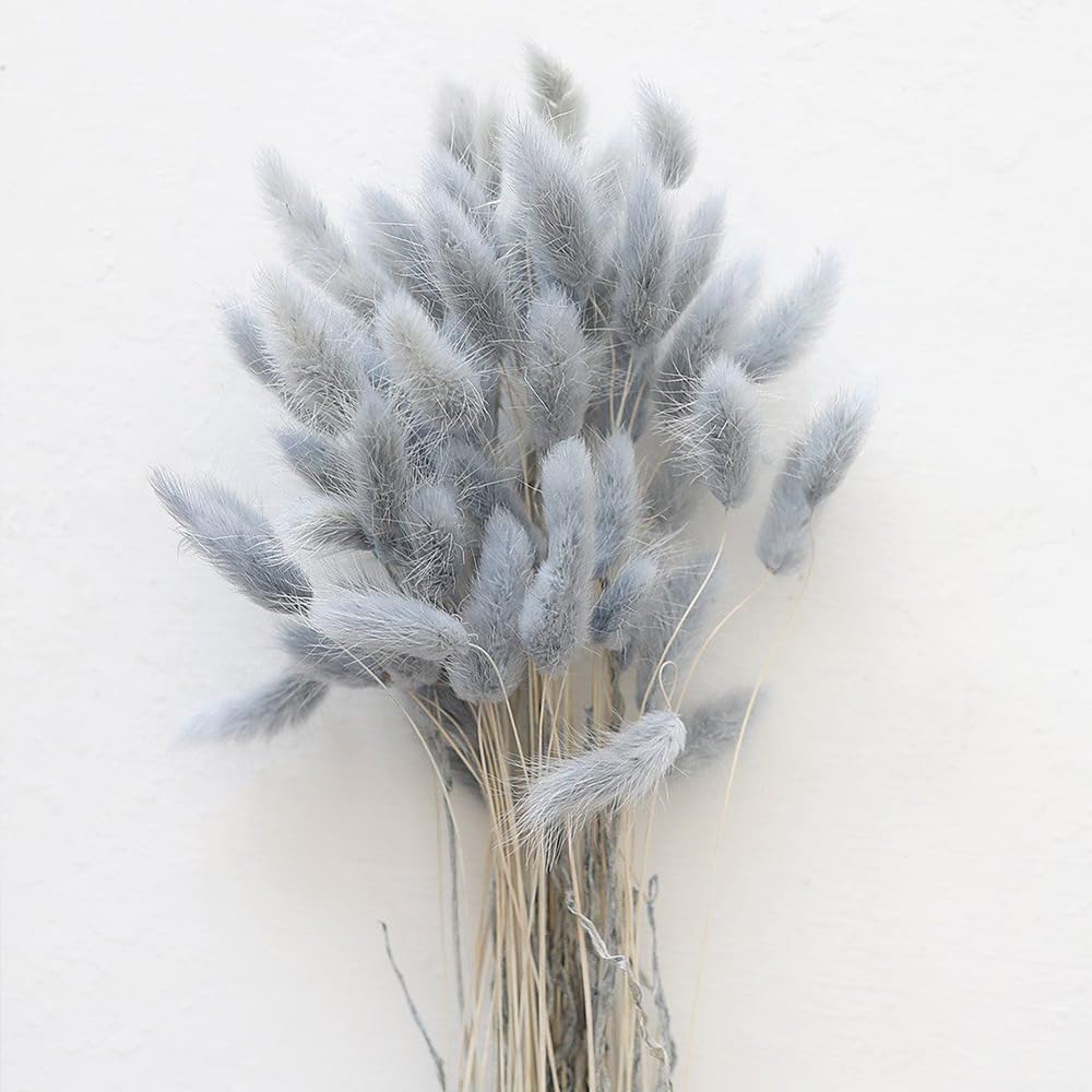 60PCS Rabbit Tail Grass Dried Flowers Dried Natural Floral (Grey)