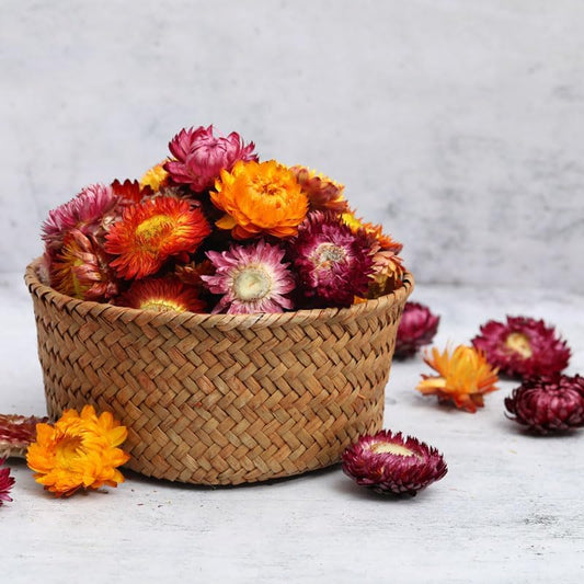 MOORCHOCO Natural Dried Daisy Flowers Heads - 55~60 Pcs Gerbera Daisies Real Sunflowers Chrysanthemum, Dry Flower Arrangements for Wedding Decor, Home Party Decoration and DIY Craft (Multi Colors)