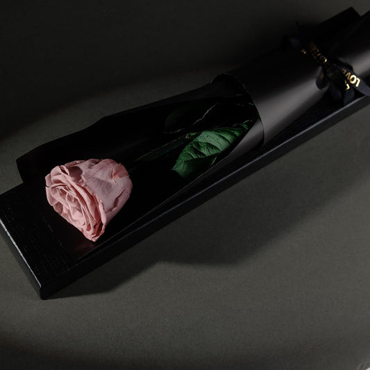 Preserved Flowers Gifts for Women, Flowers for Delivery, Single Roses with Stem, Valentines Day Roses Gifts for Her, Mothers Day Flowers for Mom (Dusty Rose, Single Rose)