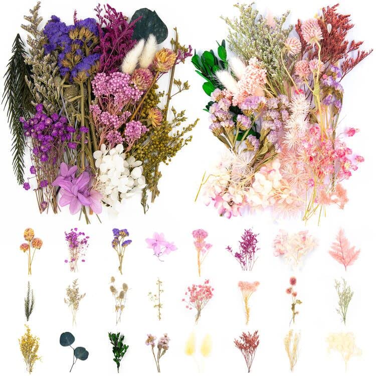 Vignee Real Dried Pressed Leaf Flowers-Multiple Colorful Pressed Flowers Daisies for Craft Resin Jewelry Making Art Craft DIY（Violet）