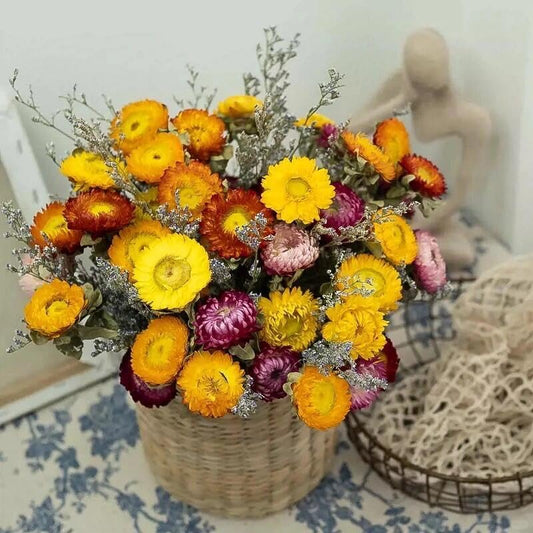 30Pcs Natural Multicolor Dried Daisy Flowers Stems-Dried Flowers Bouquet