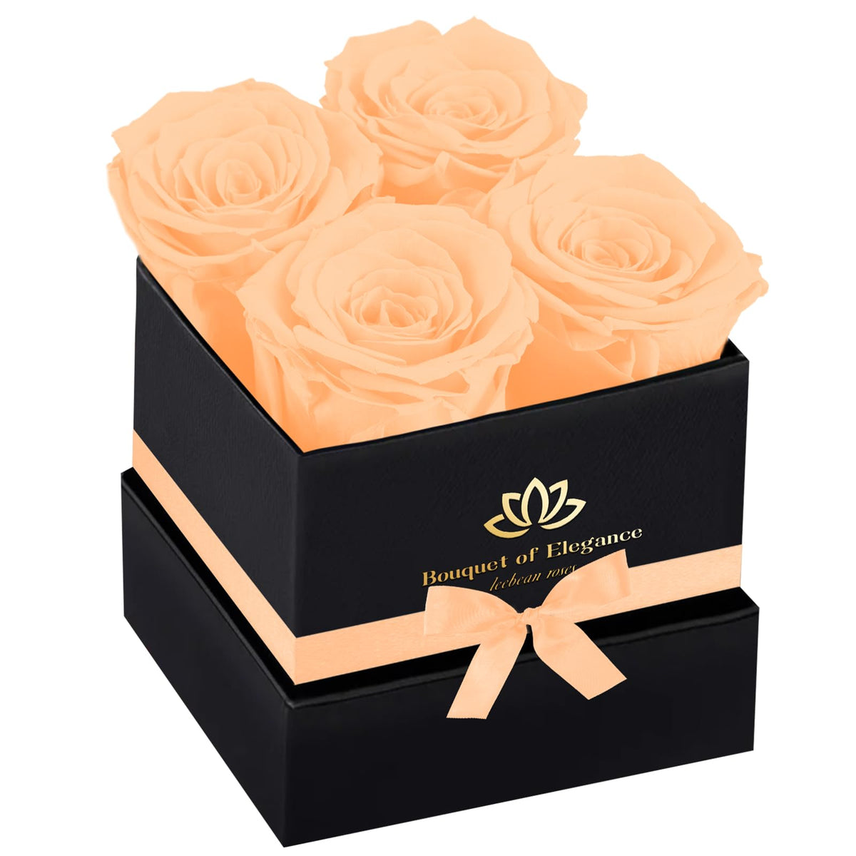 Forever Flowers Roses in A Box,Real Preserved Flowers,Preserved Roses,Preserved Flowers for Delivery,Birthday Gifts for Women/Men/Mom,Flowers for Mothers Day,Valentine's Day Rose Gifts,Red