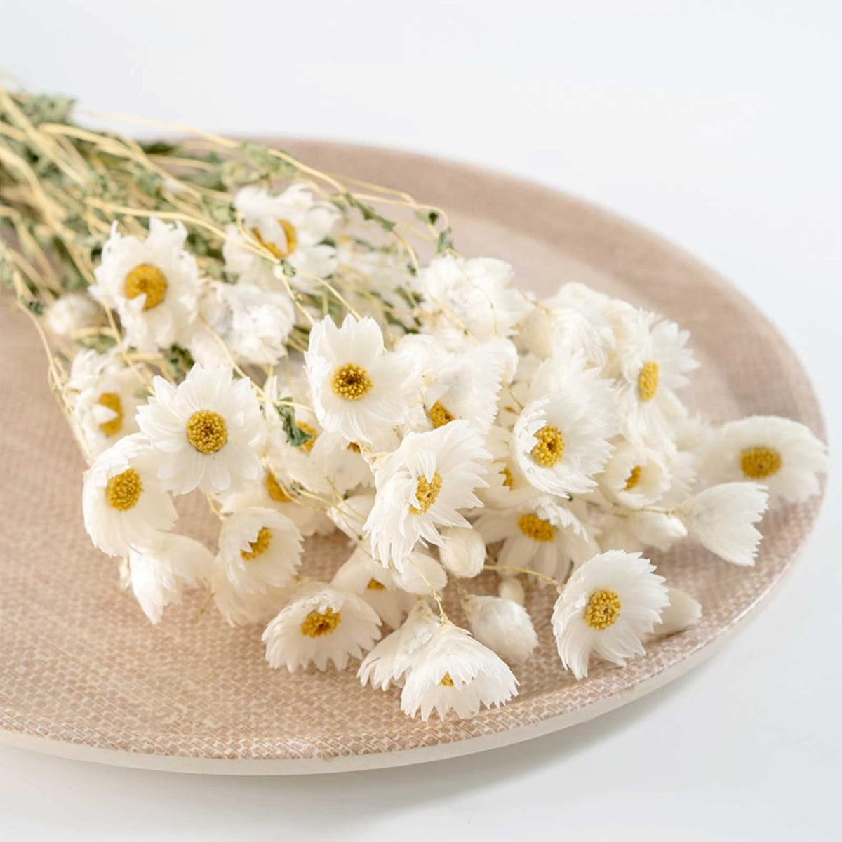 150+ Pcs Dried White Daisy Flowers Bouquet, 17" for Wedding Farmhouse Decor