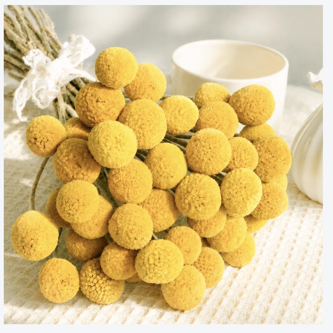40pcs Dried Billy Balls Flowers for Wedding Decor & Floral Displays