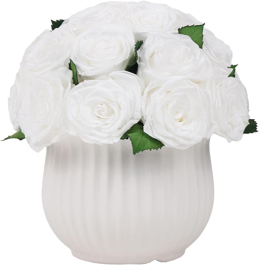 Preserved Roses in Vase,25Pcs Forever Roses with Ceramic Vase,Long Lasting Natural Flowers for Table Decor, Centerpieces for Tables,Party,Weeding,Birthday