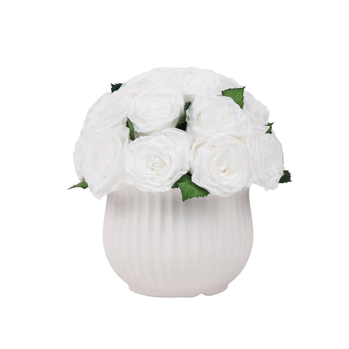 Preserved Roses in Vase,25Pcs Forever Roses with Ceramic Vase,Long Lasting Natural Flowers for Table Decor, Centerpieces for Tables,Party,Weeding,Birthday