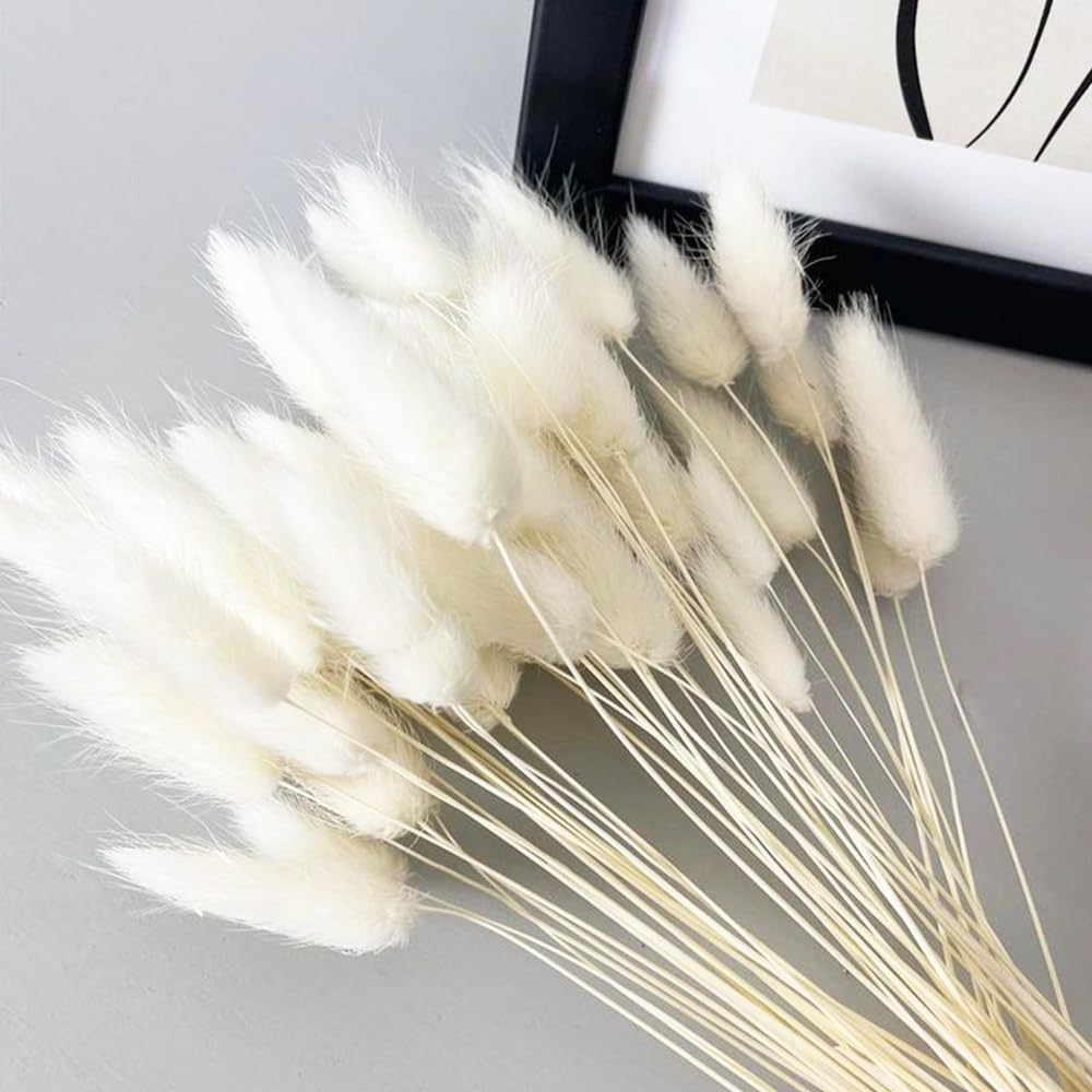 60PCS Rabbit Tail Grass Dried Flowers Dried Natural Floral (Grey)