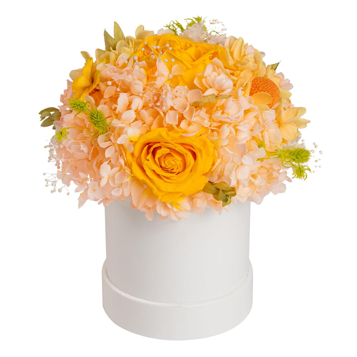 ROSEROSE Preserved Flowers for Delivery Prime,Forever Flowers Bouquet with Gift Box, Eternal Real flowers Gifts for Women,Christmas,Valentine's Day,Anniversary,Birthday for Her (Champagne)