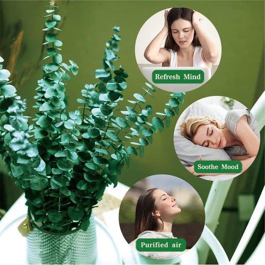 20 Pcs Preserved Dried Eucalyptus Stems, Eucalyptus Branches for Shower