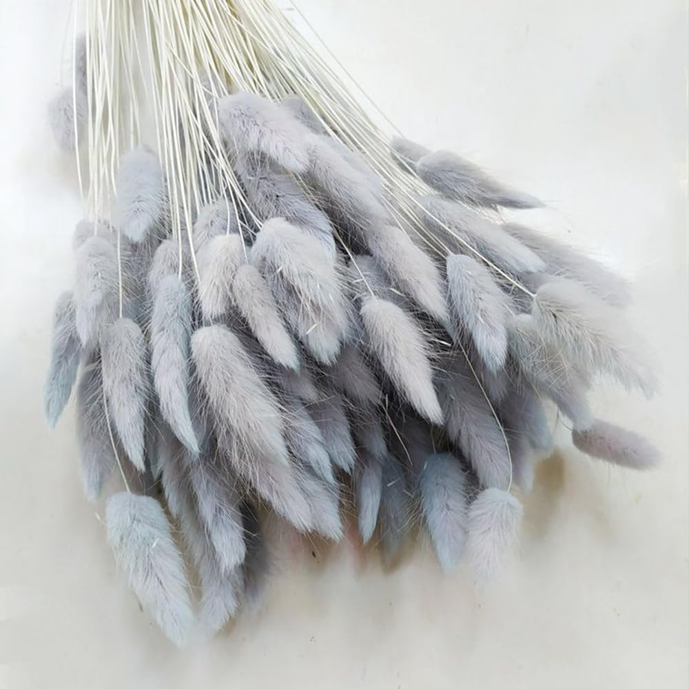 60PCS Rabbit Tail Grass Dried Flowers Dried Natural Floral (Grey)