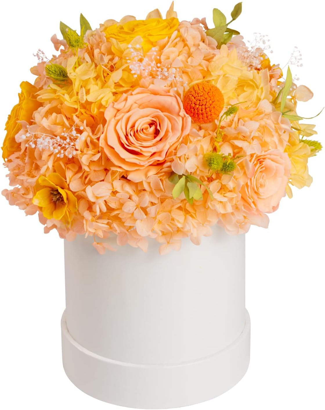ROSEROSE Preserved Flowers for Delivery Prime,Forever Flowers Bouquet with Gift Box, Eternal Real flowers Gifts for Women,Christmas,Valentine's Day,Anniversary,Birthday for Her (Champagne)