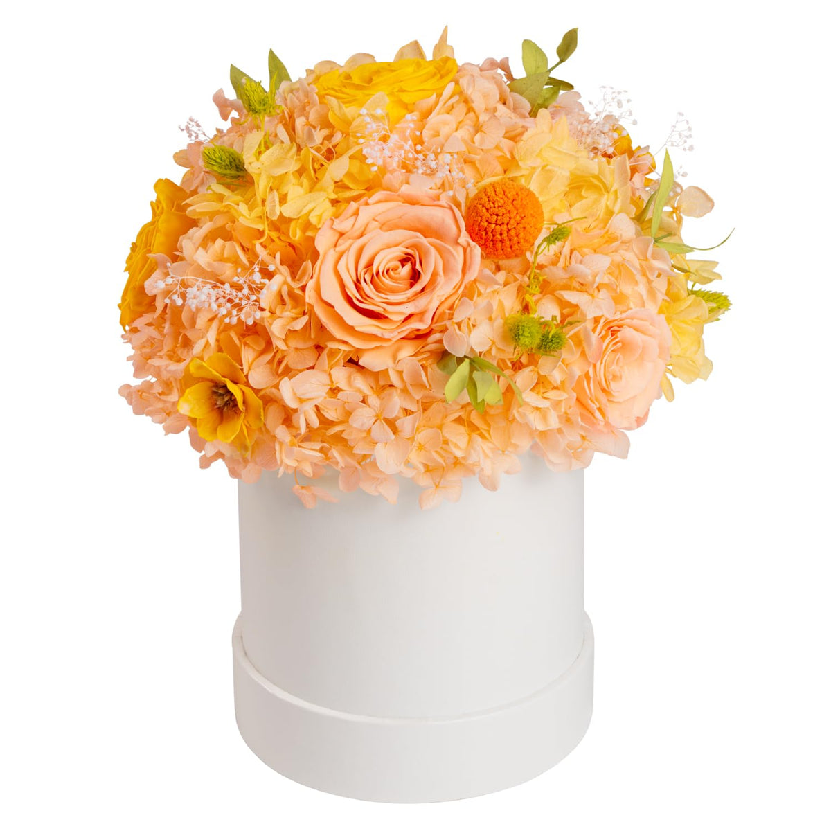 ROSEROSE Preserved Flowers for Delivery Prime,Forever Flowers Bouquet with Gift Box, Eternal Real flowers Gifts for Women,Christmas,Valentine's Day,Anniversary,Birthday for Her (Champagne)
