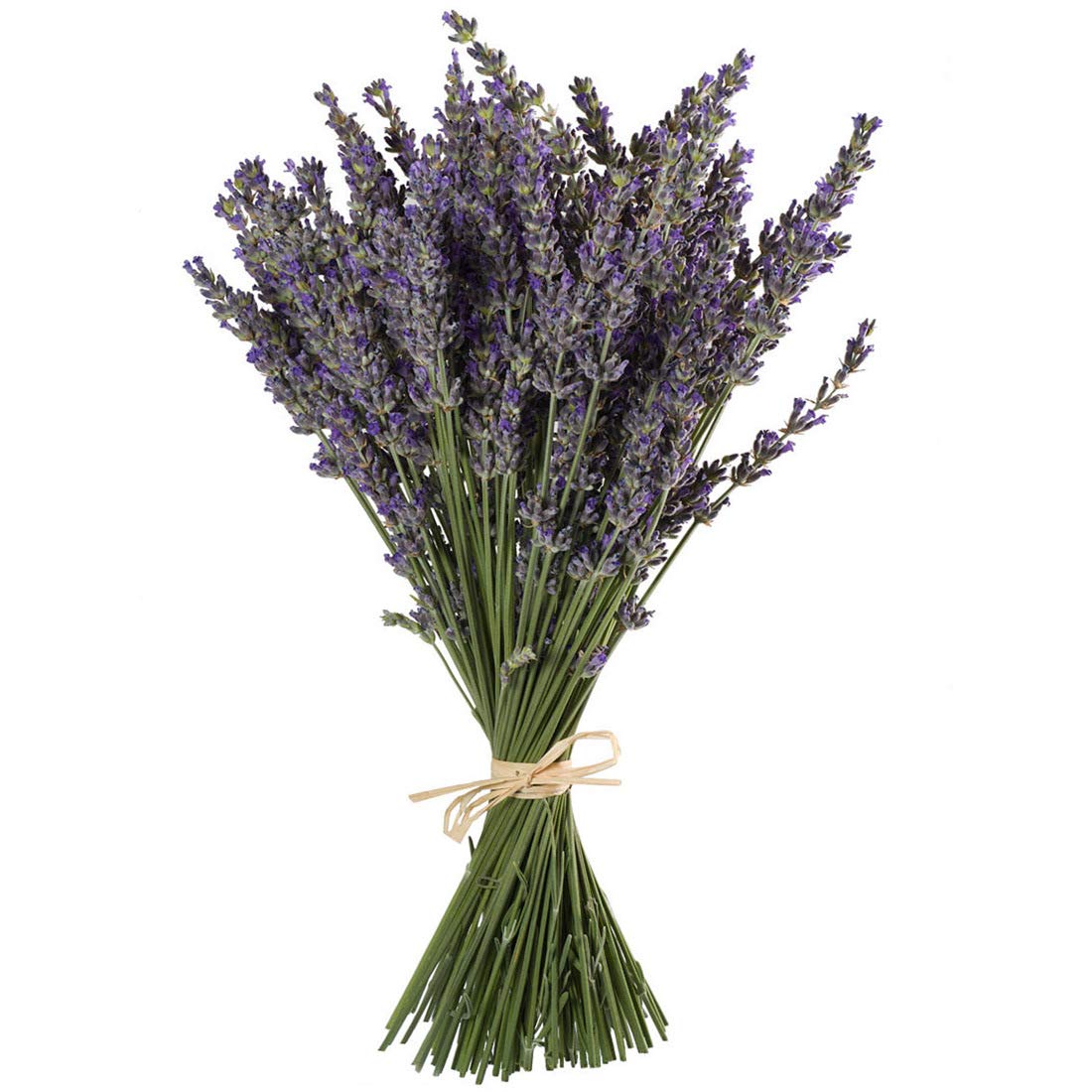TooGet Natural Lavender Bundles, Freshly Harvested 400+ Stems Dried Lavender Bunch 16" - 18" Long, Decorative Flowers Bouquet for Home Decor, Crafts, Gift, Wedding or Any Occasion