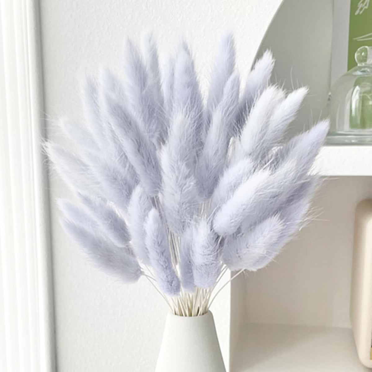 60PCS Rabbit Tail Grass Dried Flowers Dried Natural Floral (Grey)