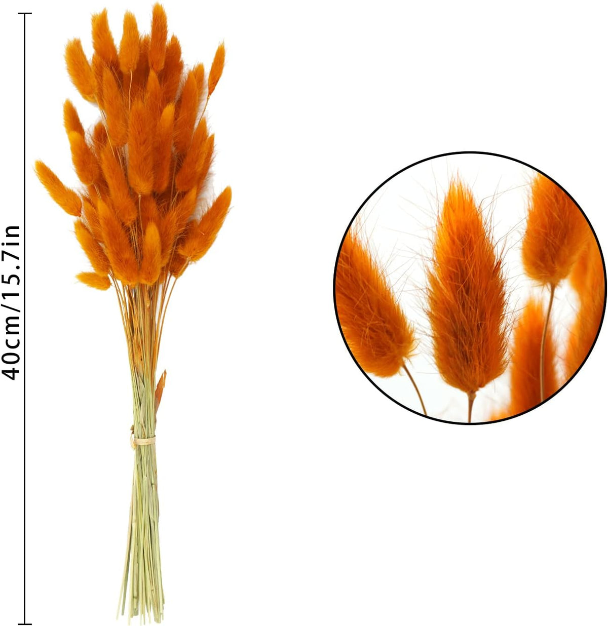 Uieke 120 Pcs Natural Bunny Tails Dried Flowers, 17’’ Dried Lagurus Ovatus, Orange Fall Dried Flowers for Fall Floral Arrangements Wedding Centerpieces Home Baby Shower Party Decorations